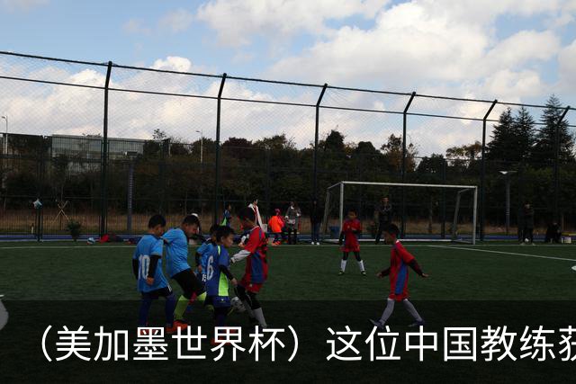 （美加墨世界杯）这位中国教练获得的勋章，与世界杯揭幕战球场同名